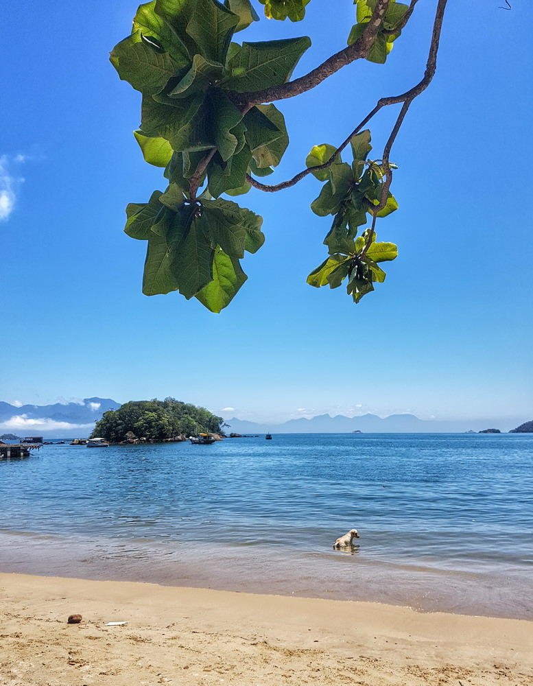 Ilha Grande, Brasil