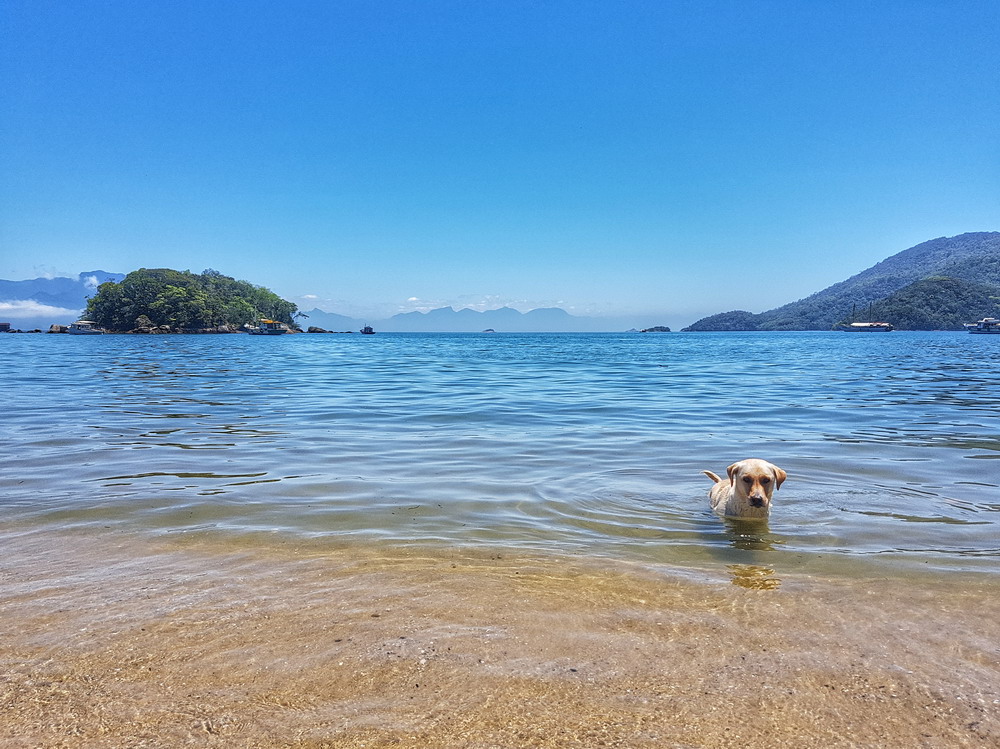 Ilha Grande, Brasil