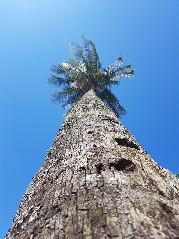 Ilha Grande, Brasil