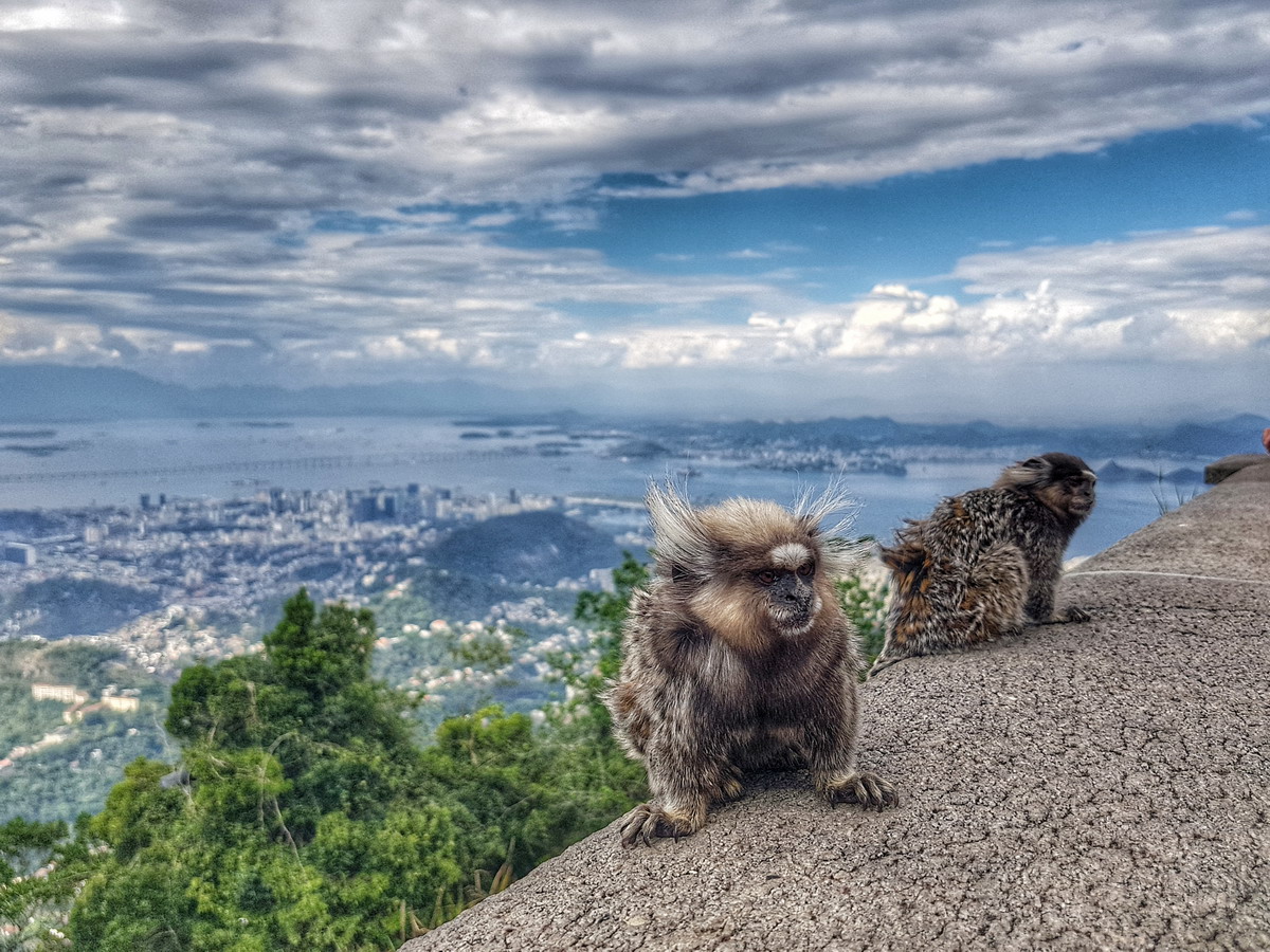 Rio de Janeiro, Brasil