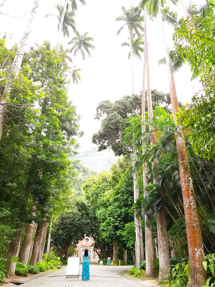 Rio de Janeiro, Brasil