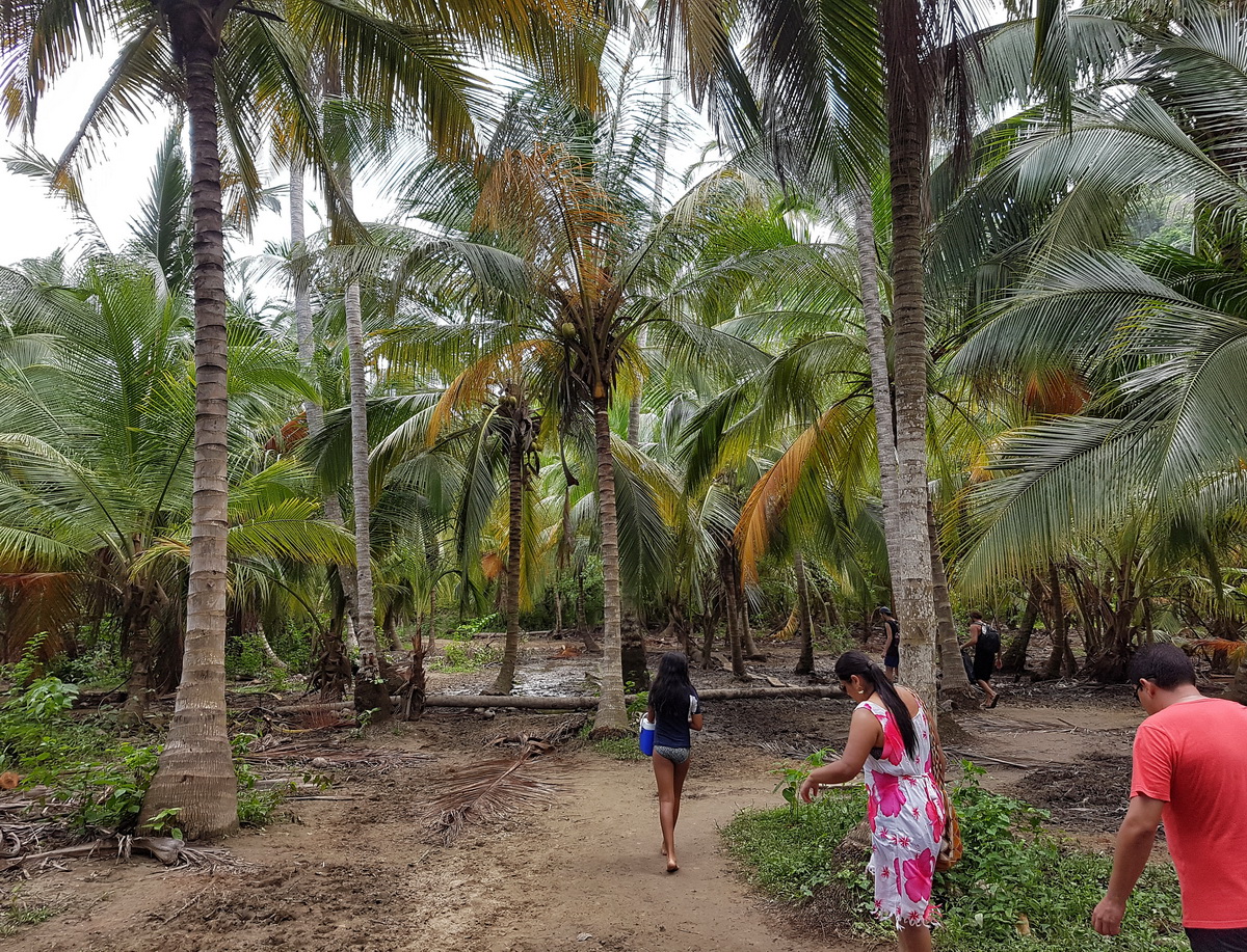 Tayrona National Park