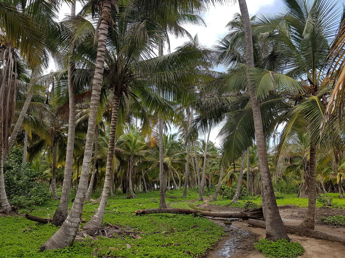Tayrona National Park