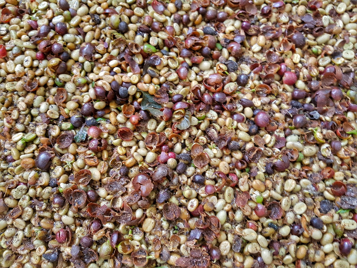 Minca, Colombia