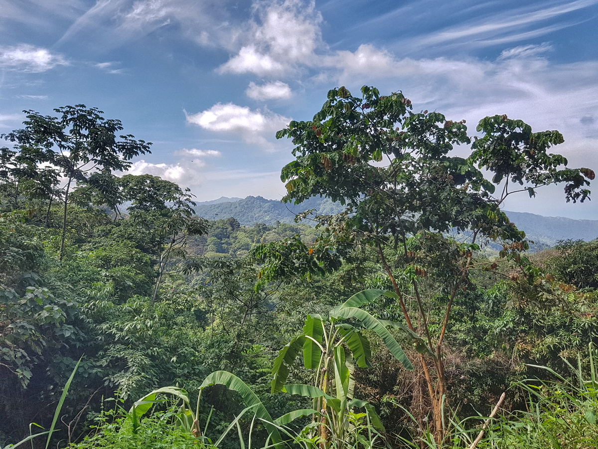 Minca, Colombia