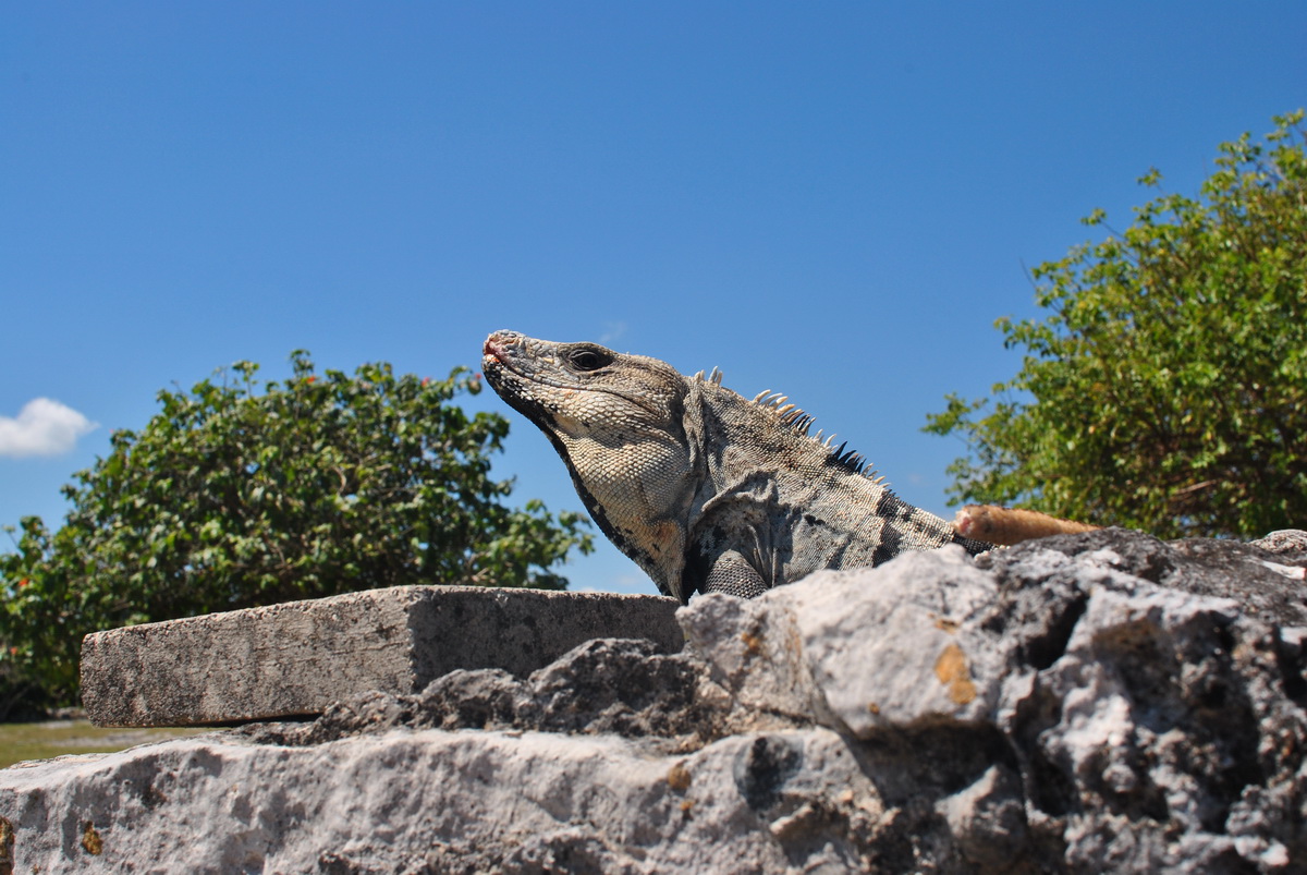 Tulum, Mexico